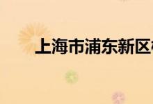 上海市浦东新区模范中学的地址在哪
