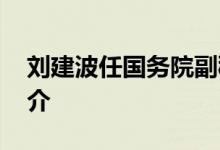 刘建波任国务院副秘书长 刘建波个人资料简介