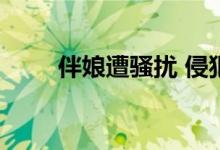 伴娘遭骚扰 侵犯他人隐私形成侮辱