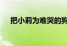 把小莉为难哭的狗主人想和解 具体详情