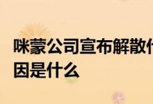 咪蒙公司宣布解散什么梗咪蒙公司宣布解散原因是什么