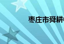 枣庄市舜耕中学的地址在哪