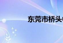 东莞市桥头中学的地址在哪