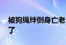 被狗绳绊倒身亡老人家属不追责 事件后续来了