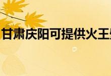 甘肃庆阳可提供火王壁挂炉维修服务地址在哪