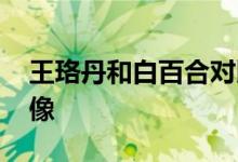 王珞丹和白百合对比合照 王珞丹和白百合好像