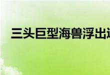 三头巨型海兽浮出辽宁海域 场面尤为壮观