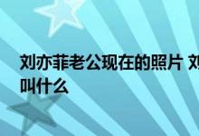 刘亦菲老公现在的照片 刘亦菲老公结婚照片 刘亦菲的老公叫什么