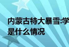 内蒙古特大暴雪:学校停课机场关闭 目前当地是什么情况