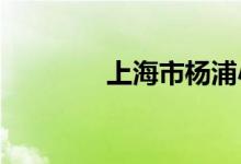 上海市杨浦小学的地址在哪