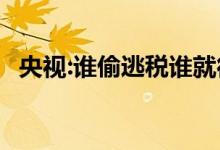 央视:谁偷逃税谁就得凉凉 到底发生了什么