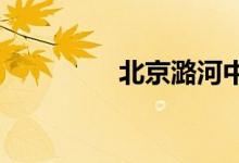 北京潞河中学的地址在哪