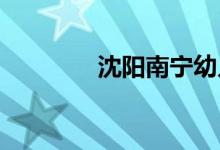 沈阳南宁幼儿园的地址在哪