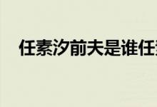 任素汐前夫是谁任素汐是真的婚内出轨吗