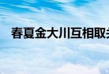春夏金大川互相取关 具体怎么样分手了吗