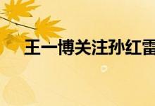 王一博关注孙红雷 为什么关注具体情况