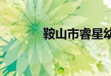 鞍山市睿星幼儿园的地址在哪