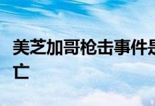 美芝加哥枪击事件是怎么回事事件致多少人伤亡