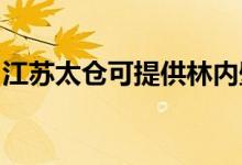 江苏太仓可提供林内壁挂炉维修服务地址在哪