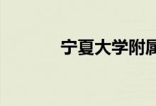 宁夏大学附属中学的地址在哪