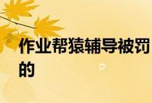 作业帮猿辅导被罚 具体是什么原因如何回应的