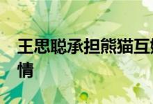 王思聪承担熊猫互娱20亿损失 发生了什么事情