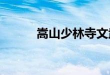 嵩山少林寺文武学校的地址在哪