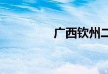广西钦州二中的地址在哪