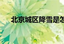 北京城区降雪是怎么回事具体情况如何