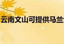 云南文山可提供马兰士音响维修服务地址在哪