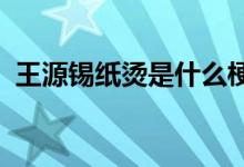 王源锡纸烫是什么梗王源锡纸烫长什么样子