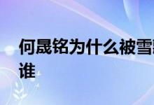 何晟铭为什么被雪藏 何晟铭结婚了没老婆是谁