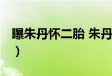 曝朱丹怀二胎 朱丹怀孕是真的吗什么情况(图）