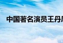 中国著名演员王丹凤去世 王丹凤女士简介