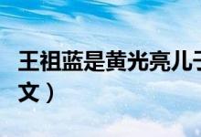 王祖蓝是黄光亮儿子：王祖蓝的父亲是谁（图文）