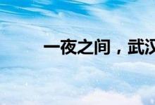 一夜之间，武汉红了最美中国红呀