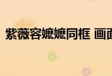 紫薇容嬷嬷同框 画面感人温馨满满的回忆杀