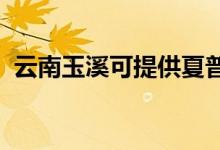 云南玉溪可提供夏普音响维修服务地址在哪