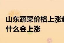 山东蔬菜价格上涨起因是什么山东蔬菜价格为什么会上涨