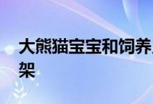 大熊猫宝宝和饲养员吵架全过程 因为什么吵架