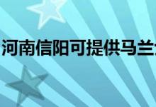 河南信阳可提供马兰士音响维修服务地址在哪