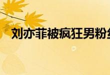 刘亦菲被疯狂男粉丝扑倒 这画面看着都疼
