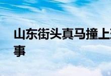 山东街头真马撞上玛莎拉蒂 具体发生了什么事