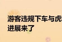 游客违规下车与虎群对峙被刑拘 该事件最新进展来了