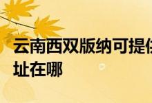 云南西双版纳可提供艾美特电磁炉维修服务地址在哪