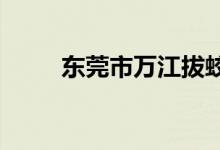 东莞市万江拔蛟窝小学的地址在哪