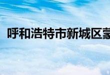 呼和浩特市新城区蒙古族幼儿园的地址在哪