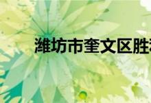 潍坊市奎文区胜利东小学的地址在哪