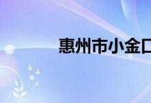 惠州市小金口中学的地址在哪