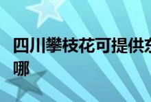 四川攀枝花可提供东菱电磁炉维修服务地址在哪